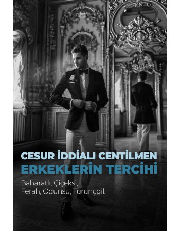 ERKEK PARFÜM E-007 100 ML