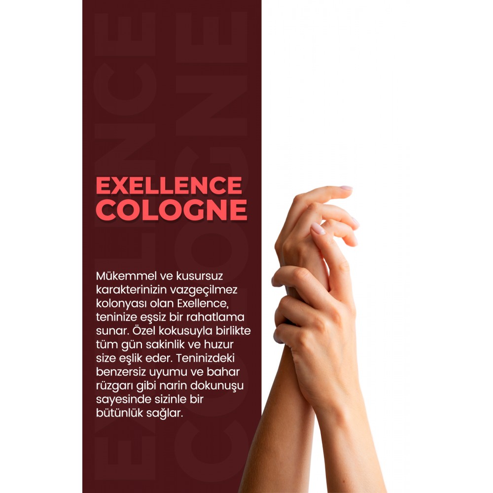 VA COSMETIC EXELLENCE KOLONYA 250 ML