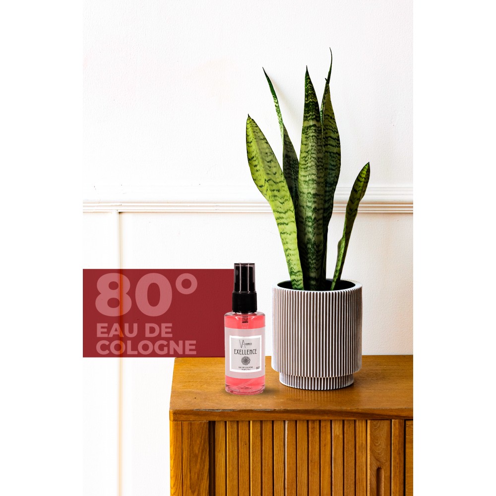 VA COSMETIC EXELLENCE KOLONYA 50 ML