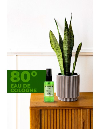 KOLONYA GRASS 50 ML