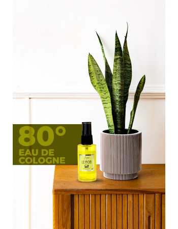 KOLONYA LEMON 50 ML