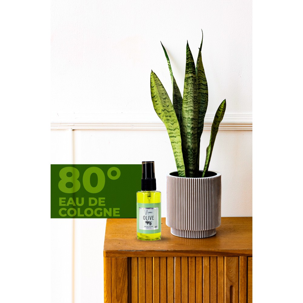 VA COSMETIC OLIVE KOLONYA 50 ML