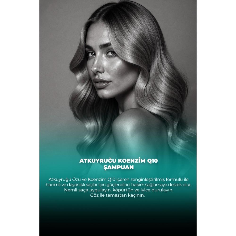 ŞAMPUAN AT KUYRUĞU COENZYME Q10 400 ML